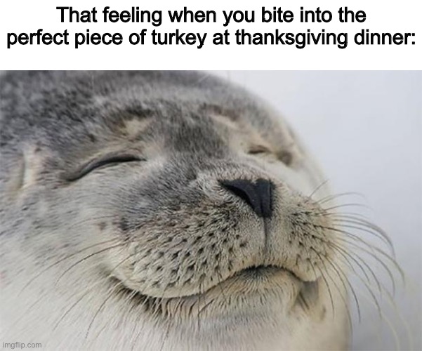 *Ascends to a higher plane of reality* | That feeling when you bite into the perfect piece of turkey at thanksgiving dinner: | image tagged in memes,satisfied seal | made w/ Imgflip meme maker