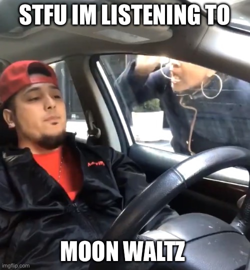 stfu im listening to | STFU IM LISTENING TO; MOON WALTZ | image tagged in stfu im listening to | made w/ Imgflip meme maker