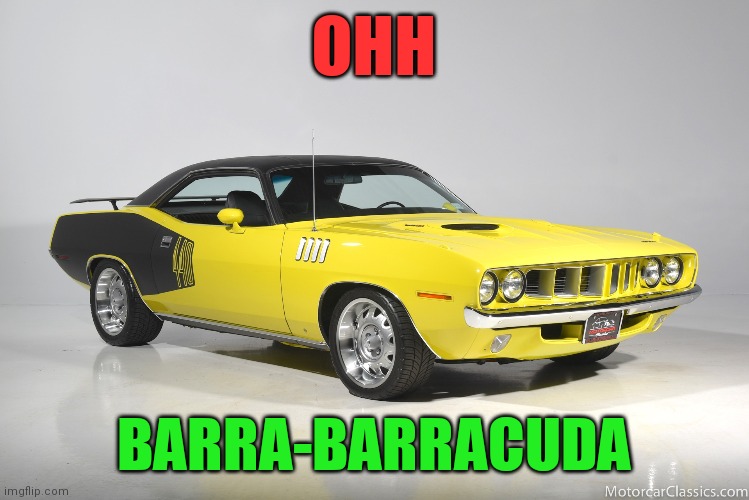 Barracuda | OHH; BARRA-BARRACUDA | image tagged in funny memes | made w/ Imgflip meme maker