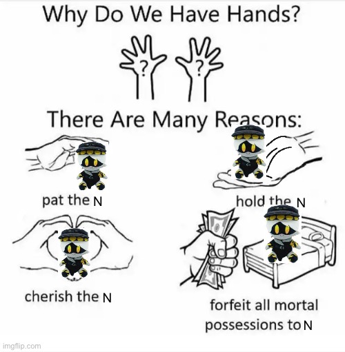 Why do we have hands? (all blank) | N; N; N; N | image tagged in why do we have hands all blank | made w/ Imgflip meme maker