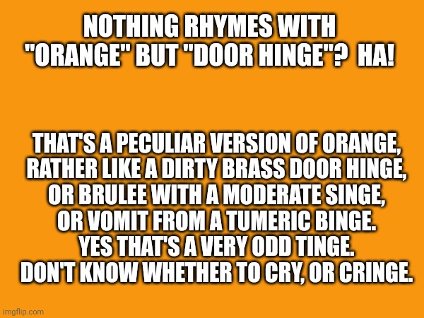 Orange rhymes | NOTHING RHYMES WITH "ORANGE" BUT "DOOR HINGE"?  HA! THAT'S A PECULIAR VERSION OF ORANGE,
RATHER LIKE A DIRTY BRASS DOOR HINGE,
OR BRULEE WITH A MODERATE SINGE,
OR VOMIT FROM A TUMERIC BINGE.
YES THAT'S A VERY ODD TINGE.
DON'T KNOW WHETHER TO CRY, OR CRINGE. | image tagged in funny memes | made w/ Imgflip meme maker