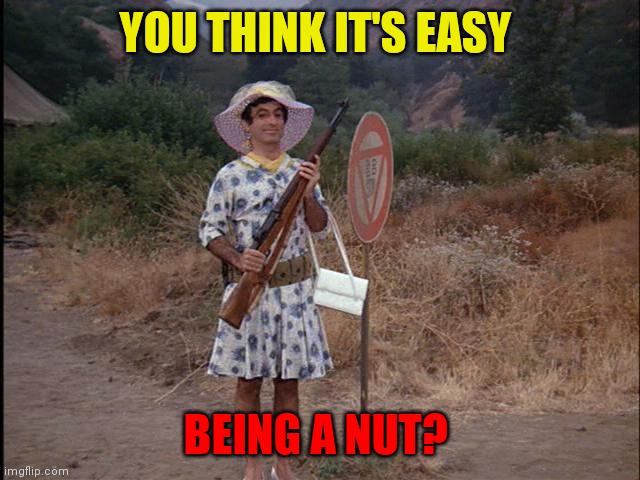 It's Not Easy Being A Nut | YOU THINK IT'S EASY; BEING A NUT? | image tagged in klinger,funny memes | made w/ Imgflip meme maker