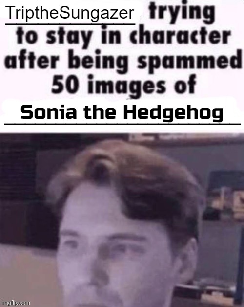 X trying to stay in character after being spammed 50 images of Y | TriptheSungazer; Sonia the Hedgehog | image tagged in x trying to stay in character after being spammed 50 images of y | made w/ Imgflip meme maker
