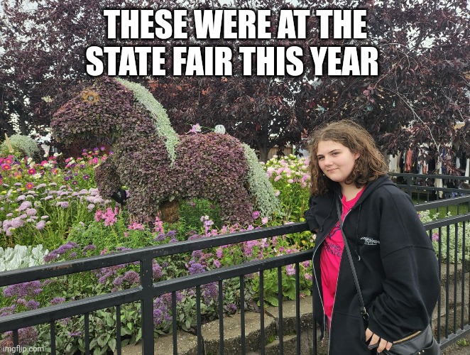THESE WERE AT THE STATE FAIR THIS YEAR | made w/ Imgflip meme maker