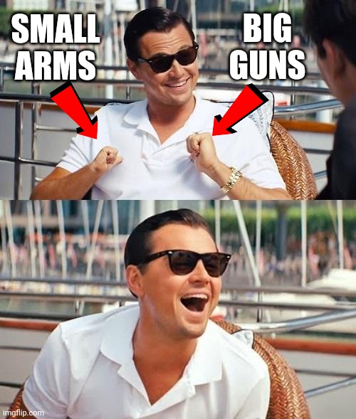 Leonardo Dicaprio Wolf Of Wall Street Meme | SMALL ARMS BIG GUNS | image tagged in memes,leonardo dicaprio wolf of wall street | made w/ Imgflip meme maker