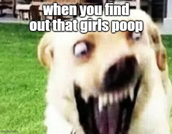 old shitty meme | when you find out that girls poop | image tagged in dog screamer lol boi | made w/ Imgflip meme maker