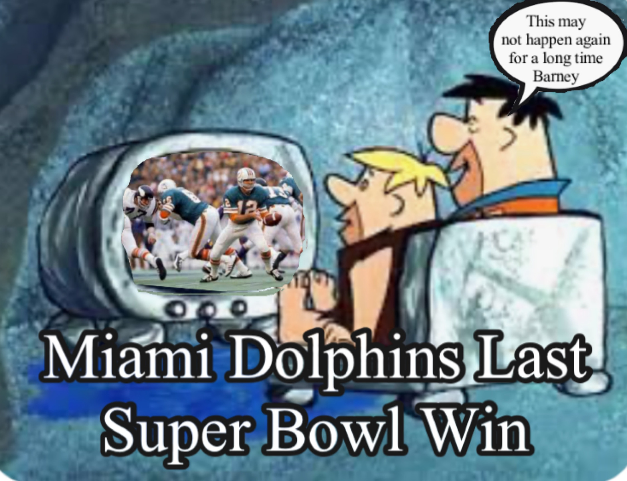Miami Dolphins Blank Meme Template