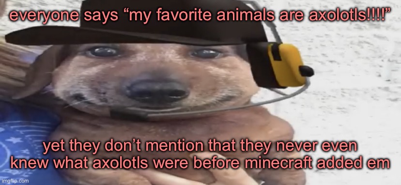 chucklenuts | everyone says “my favorite animals are axolotls!!!!”; yet they don’t mention that they never even knew what axolotls were before minecraft added em | image tagged in chucklenuts | made w/ Imgflip meme maker