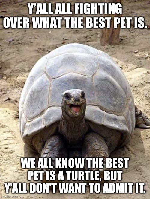 Smiling happy excited tortoise | Y’ALL ALL FIGHTING OVER WHAT THE BEST PET IS. WE ALL KNOW THE BEST PET IS A TURTLE, BUT Y’ALL DON’T WANT TO ADMIT IT. | image tagged in smiling happy excited tortoise | made w/ Imgflip meme maker