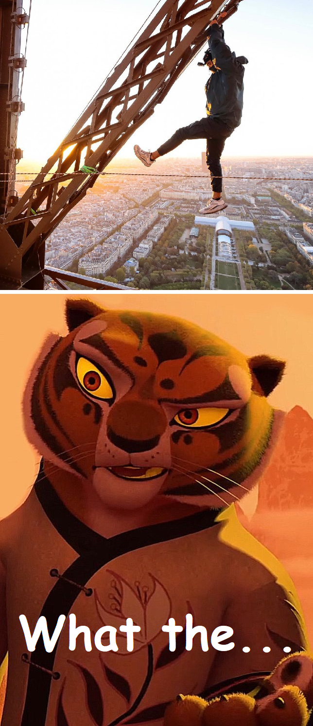 High Quality Tigress Blank Meme Template