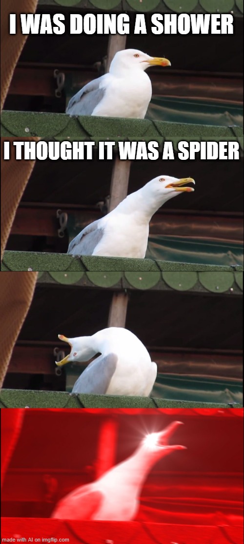 Inhaling Seagull Meme | I WAS DOING A SHOWER; I THOUGHT IT WAS A SPIDER | image tagged in memes,inhaling seagull | made w/ Imgflip meme maker