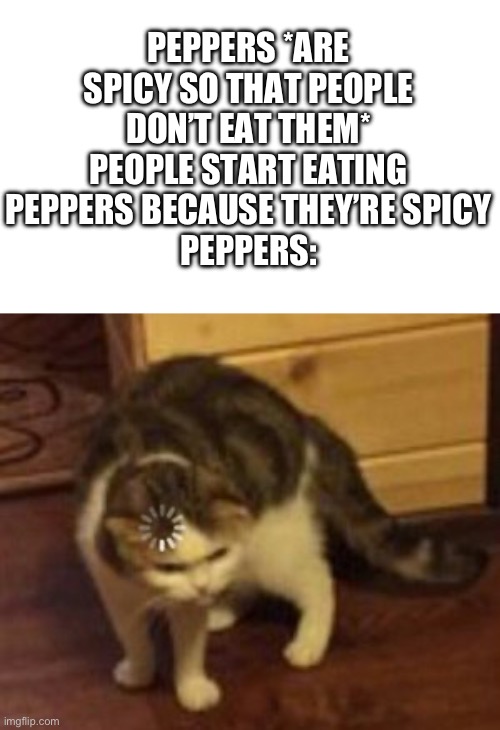 Image title | PEPPERS *ARE SPICY SO THAT PEOPLE DON’T EAT THEM*
PEOPLE START EATING PEPPERS BECAUSE THEY’RE SPICY
PEPPERS: | image tagged in loading cat,spicy,food,memes,funny | made w/ Imgflip meme maker