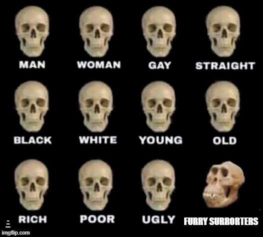 idiot skull | FURRY SURRORTERS; MAN THIS IS REALTABLE | image tagged in idiot skull | made w/ Imgflip meme maker