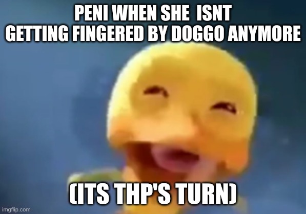crying duck | PENI WHEN SHE  ISNT GETTING FINGERED BY DOGGO ANYMORE; (ITS THP'S TURN) | image tagged in crying duck | made w/ Imgflip meme maker