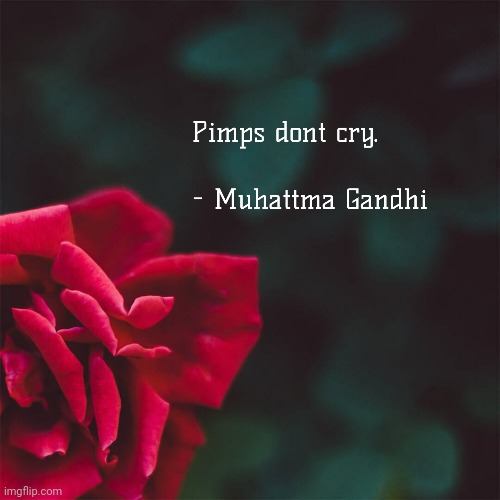 Messed up qoutes | image tagged in messed,up,qoutes,an,things | made w/ Imgflip meme maker