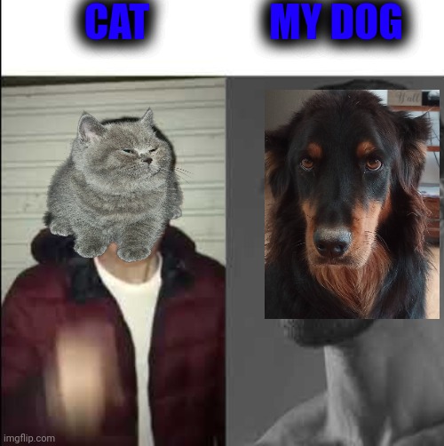 Giga chad template | CAT; MY DOG | image tagged in giga chad template | made w/ Imgflip meme maker