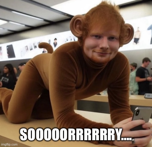 Monkey Ed Sheeran | SOOOOORRRRRRY…. | image tagged in monkey ed sheeran | made w/ Imgflip meme maker