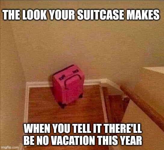 Emotional baggage | THE LOOK YOUR SUITCASE MAKES; WHEN YOU TELL IT THERE'LL BE NO VACATION THIS YEAR | image tagged in suitcase,blues,no,vacation,sad,bag | made w/ Imgflip meme maker