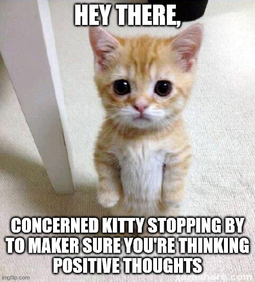 concerned kitty | HEY THERE, CONCERNED KITTY STOPPING BY
TO MAKER SURE YOU'RE THINKING
POSITIVE THOUGHTS | image tagged in memes,cute cat,mental health,positivity | made w/ Imgflip meme maker
