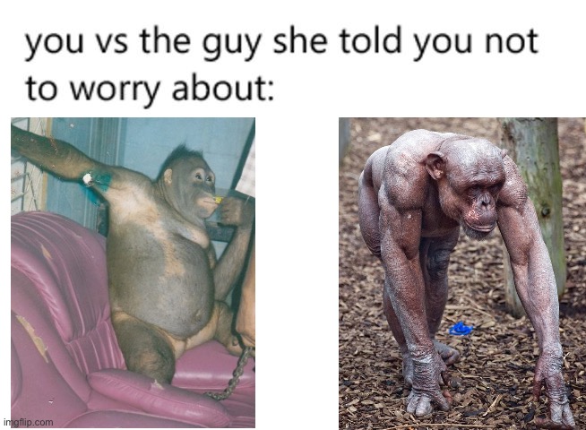 Monke cuck | image tagged in you vs the guy she told you not to worry about | made w/ Imgflip meme maker