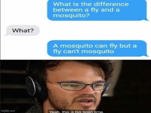 mosquitoes can fly but... | image tagged in funny,meme,memes,funny memes,fun | made w/ Imgflip meme maker