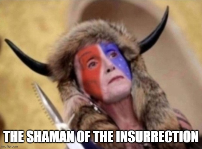 Shawoman | THE SHAMAN OF THE INSURRECTION | image tagged in j6,fjb,nancy pelosi,pelosi,nancy pelosi is crazy,trump | made w/ Imgflip meme maker