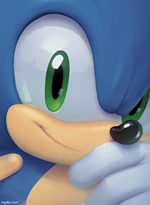 Sonic's questionable stare | image tagged in sonic's questionable stare | made w/ Imgflip meme maker