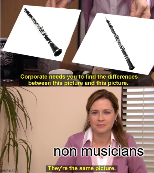 They're The Same Picture Meme | non musicians | image tagged in memes,they're the same picture | made w/ Imgflip meme maker