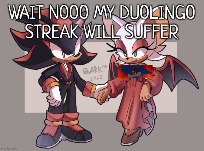 shadow and rouge | WAIT NOOO MY DUOLINGO STREAK WILL SUFFER | image tagged in shadow and rouge | made w/ Imgflip meme maker