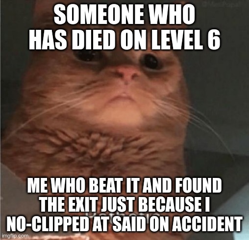 backrooms stupidity | SOMEONE WHO HAS DIED ON LEVEL 6; ME WHO BEAT IT AND FOUND THE EXIT JUST BECAUSE I NO-CLIPPED AT SAID ON ACCIDENT | image tagged in pathetic cat | made w/ Imgflip meme maker