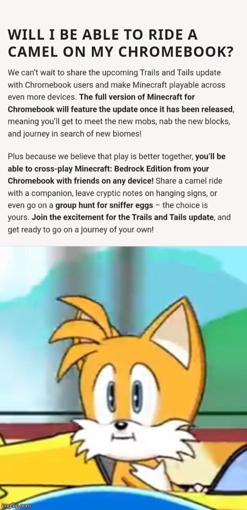 Now reread it. | image tagged in tails hold up | made w/ Imgflip meme maker