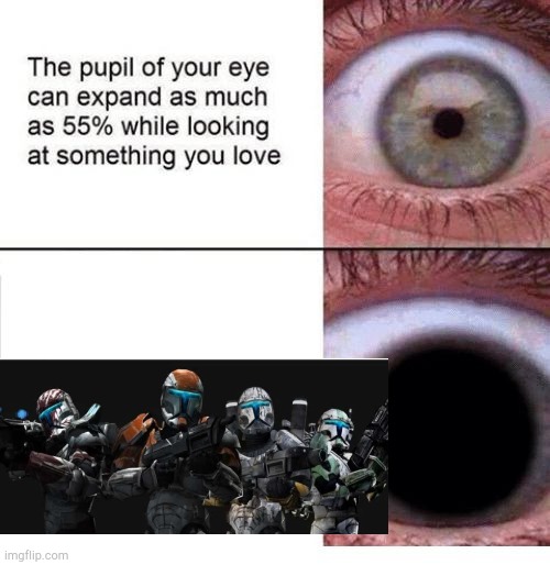 Expanding Pupil | image tagged in expanding pupil | made w/ Imgflip meme maker