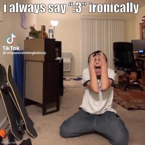 like i’m never fr | i always say “:3” ironically | image tagged in me rn | made w/ Imgflip meme maker