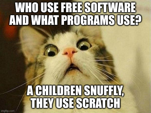 scratch | WHO USE FREE SOFTWARE AND WHAT PROGRAMS USE? A CHILDREN SNUFFLY, THEY USE SCRATCH | image tagged in memes,scared cat | made w/ Imgflip meme maker