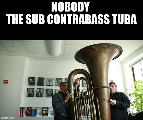 NOBODY 
THE SUB CONTRABASS TUBA | image tagged in tuba | made w/ Imgflip meme maker