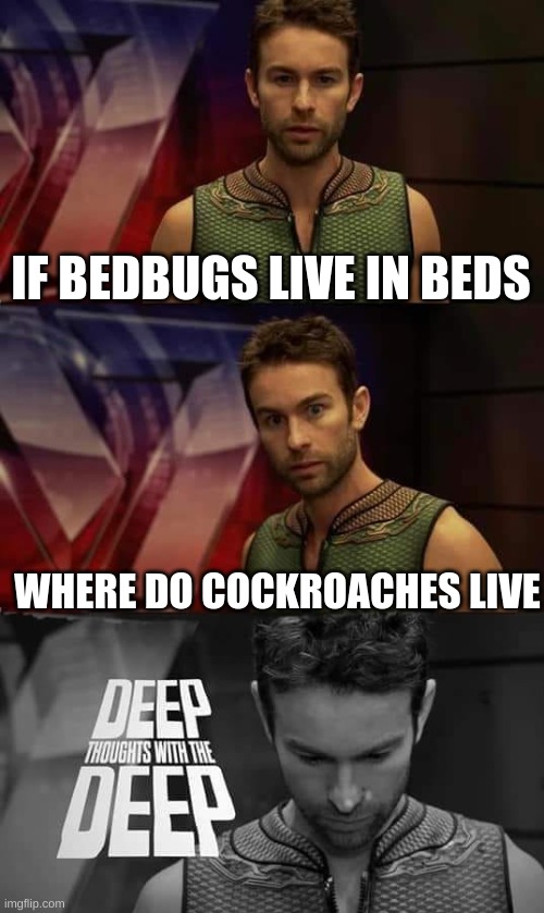 hmmm... | IF BEDBUGS LIVE IN BEDS; WHERE DO COCKROACHES LIVE | image tagged in deep thoughts with the deep,cockroach,bedbugs,deep thoughts | made w/ Imgflip meme maker