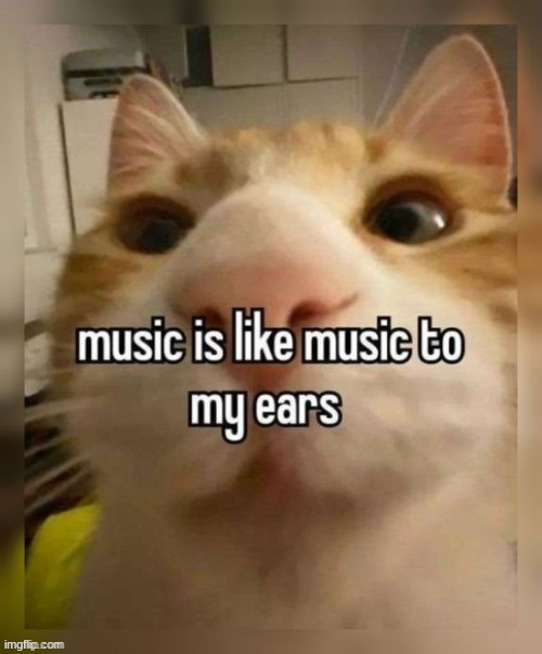 real | made w/ Imgflip meme maker