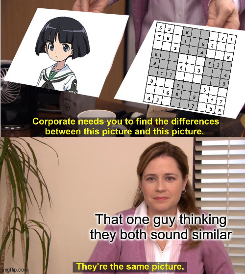 Well, now that you mention it... | That one guy thinking they both sound similar | image tagged in memes,they're the same picture,girls und panzer | made w/ Imgflip meme maker