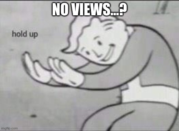 Fallout Hold Up | NO VIEWS...? | image tagged in fallout hold up | made w/ Imgflip meme maker