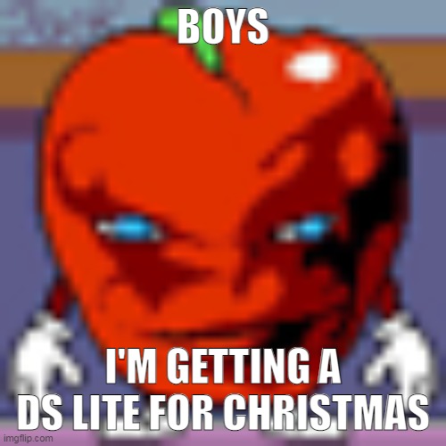 pepperman | BOYS; I'M GETTING A DS LITE FOR CHRISTMAS | image tagged in pepperman | made w/ Imgflip meme maker