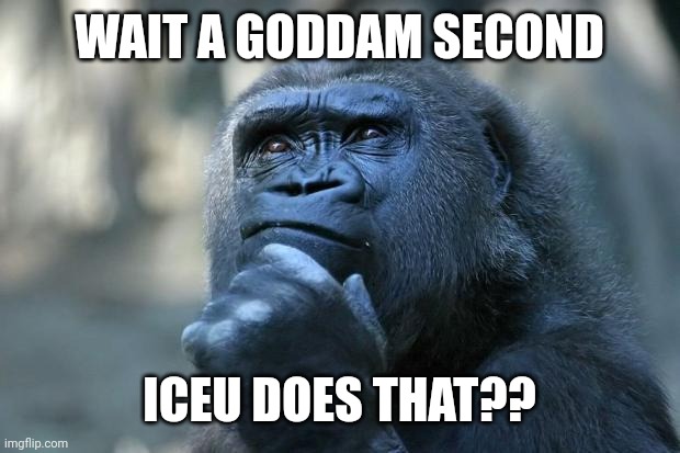 Deep Thoughts | WAIT A GODDAM SECOND ICEU DOES THAT?? | image tagged in deep thoughts | made w/ Imgflip meme maker