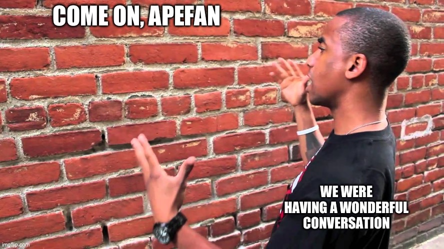 He stopped flagging | COME ON, APEFAN; WE WERE HAVING A WONDERFUL CONVERSATION | image tagged in talking to wall | made w/ Imgflip meme maker