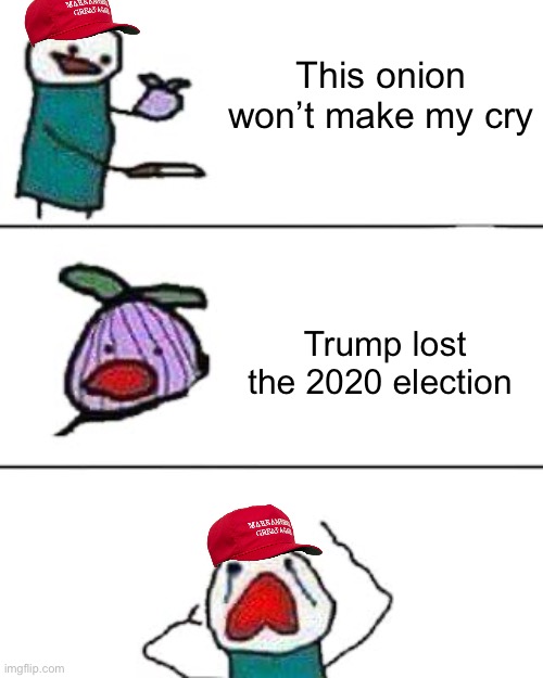 Oldie but goodie | This onion won’t make my cry; Trump lost the 2020 election | image tagged in this onion won't make me cry,memes | made w/ Imgflip meme maker
