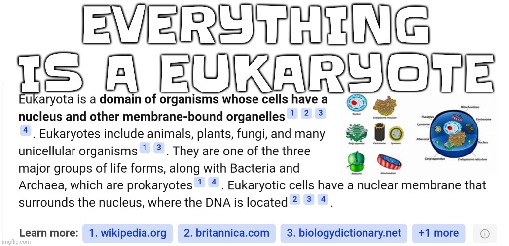 We're all just complex ass amoebas? :shocked face with raised eyebrows: | EVERYTHING IS A EUKARYOTE | made w/ Imgflip meme maker