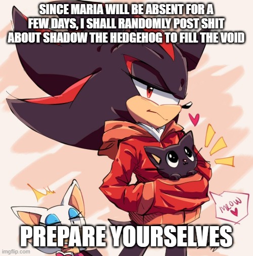 edgehog | SINCE MARIA WILL BE ABSENT FOR A FEW DAYS, I SHALL RANDOMLY POST SHIT ABOUT SHADOW THE HEDGEHOG TO FILL THE VOID; PREPARE YOURSELVES | made w/ Imgflip meme maker