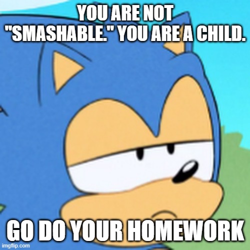 bruh sonic | YOU ARE NOT "SMASHABLE." YOU ARE A CHILD. GO DO YOUR HOMEWORK | image tagged in bruh sonic | made w/ Imgflip meme maker