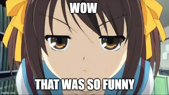 Haruhi stare | WOW; THAT WAS SO FUNNY | image tagged in haruhi stare,damn bro you got the whole squad laughing,stare,haruhi | made w/ Imgflip meme maker