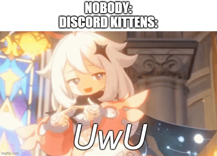 THEY ARE SO GODDAMN ANNOYING | NOBODY:
DISCORD KITTENS: | image tagged in paimon uwu | made w/ Imgflip meme maker