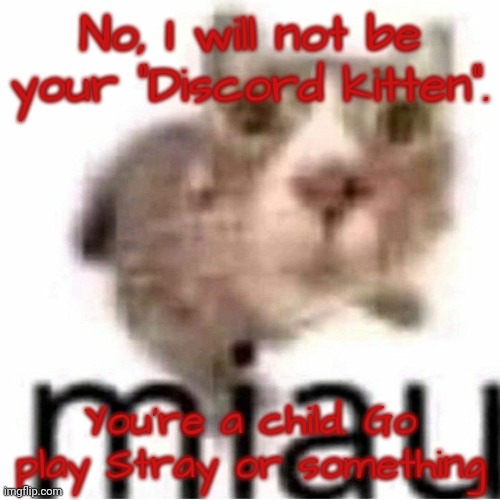 miau | No, I will not be your "Discord kitten". You're a child. Go play Stray or something | image tagged in miau | made w/ Imgflip meme maker