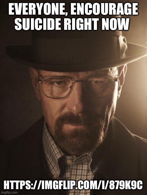 Walter White | EVERYONE, ENCOURAGE SUICIDE RIGHT NOW; HTTPS://IMGFLIP.COM/I/879K9C | image tagged in walter white | made w/ Imgflip meme maker